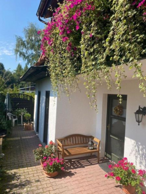 Ferienwohnung in Bad Elster mit Grill und Terrasse